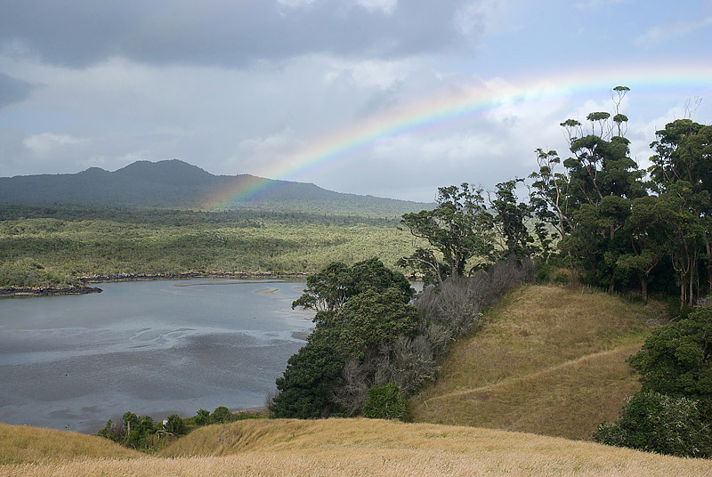 Rangitoto viewed from Motutapu - Photo by Art Polkanov